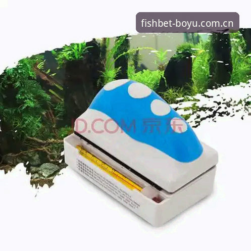 BOYU体育入口哪个好 哪个BOYU体育入口值得选择?多维度深度解析正版平台的核心优势